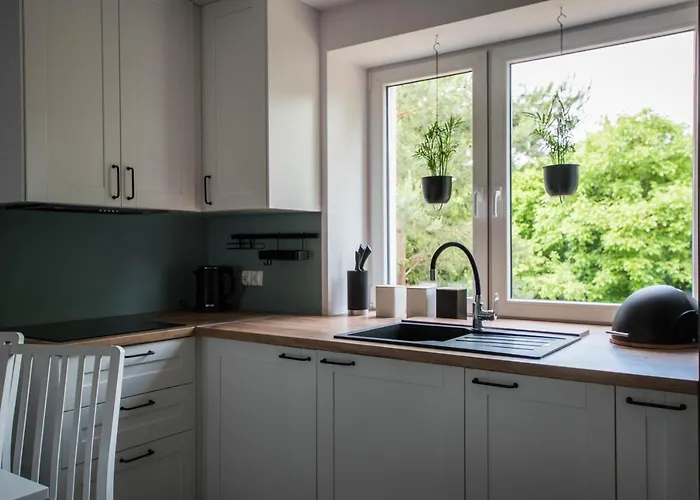 Dobranocka W Leleszkach Pasym